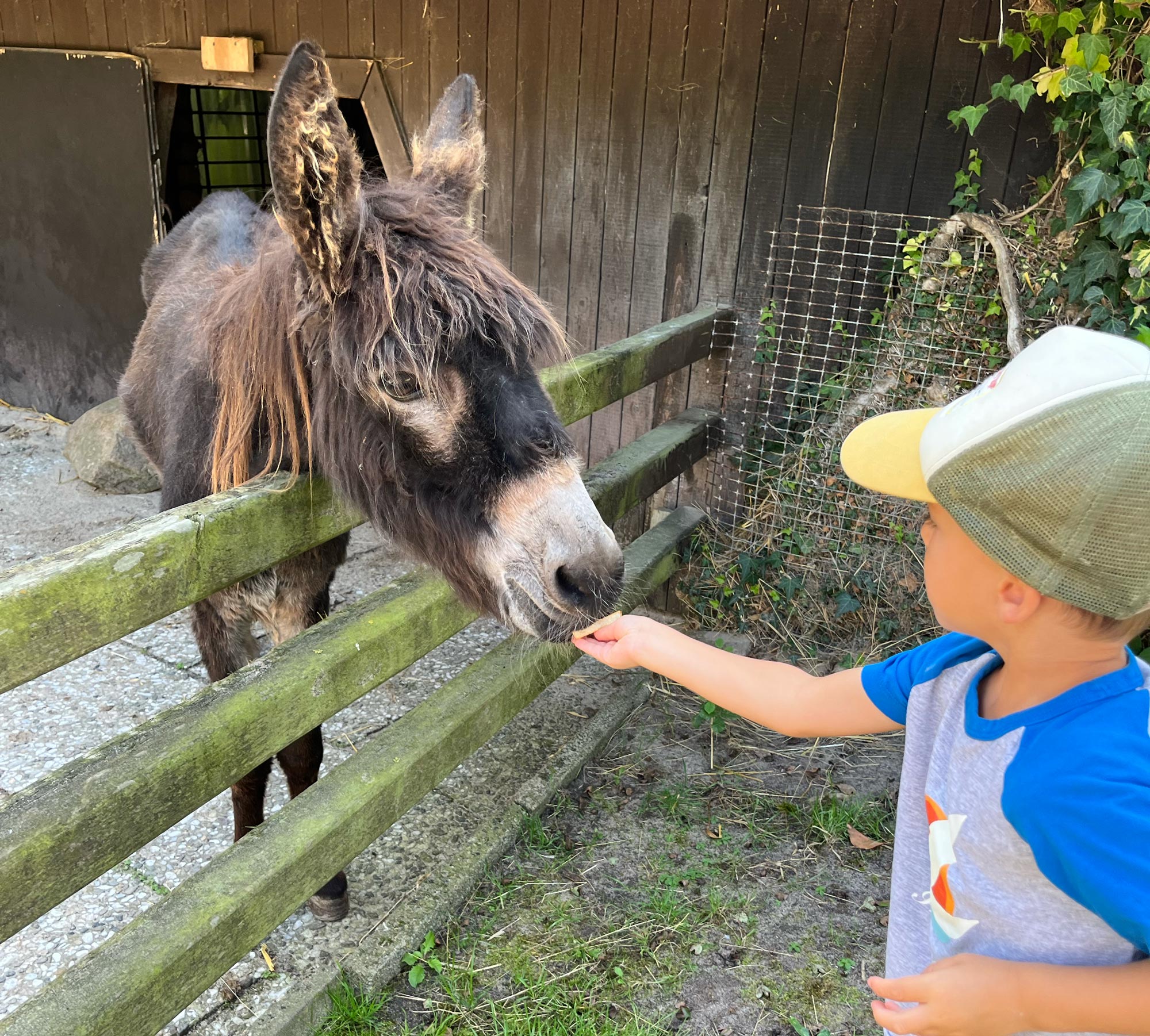 Tierisch gut!